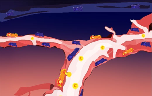 Erste Schritte in Richtung Zelltherapie bei Hirnkrankheiten