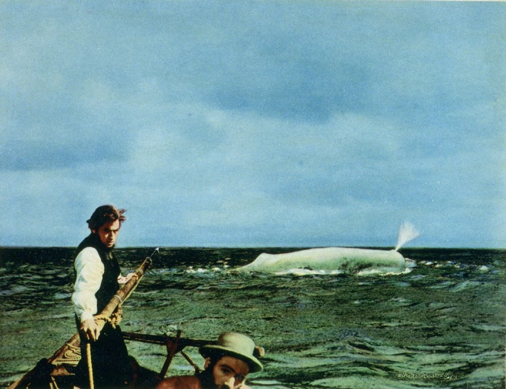 Harter Dreh bei &#039;Moby Dick&#039;: Der Todeskampf von Gregory Peck //
TELE 5 zeigt John Hustons Abenteuer-Klassiker am Sonntag, 14. März, um 20.15 Uhr