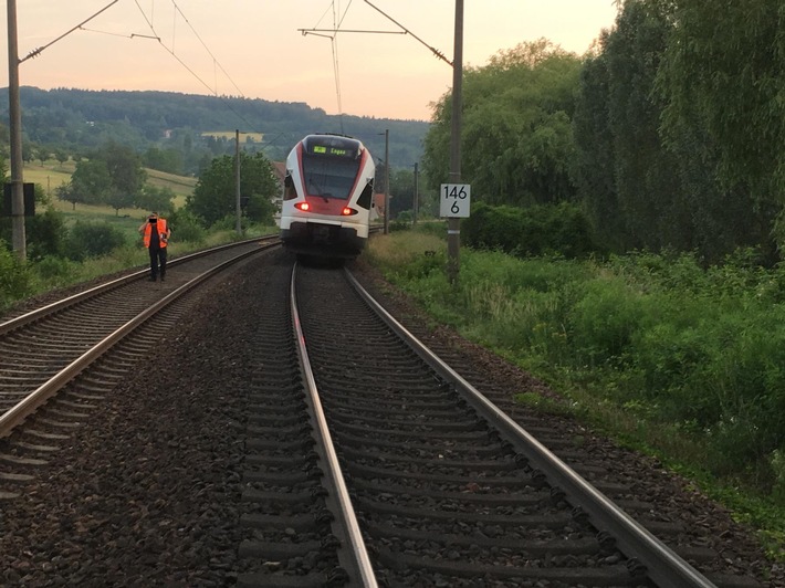 BPOLI-KN: Zug kollidiert mit Schafherde