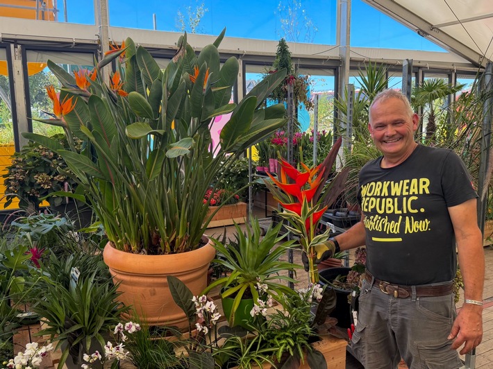 Fernweh, Urlaubssehnsucht und Exoten: Landesgartenschau Neuss 2026 präsentiert neue Blumenschau