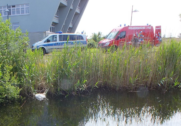 POL-FL: Flensburg - Federn im Schwanenteich : Schwanenmutter und Jungschwäne unverletzt,  Zeugen gesucht