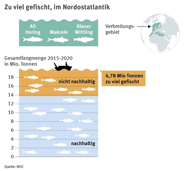 Raus aus der Überfischungskrise / Aktueller Bericht drängt auf neuen Ansatz bei der Fangquotenverteilung im europäischen Nordostatlantik