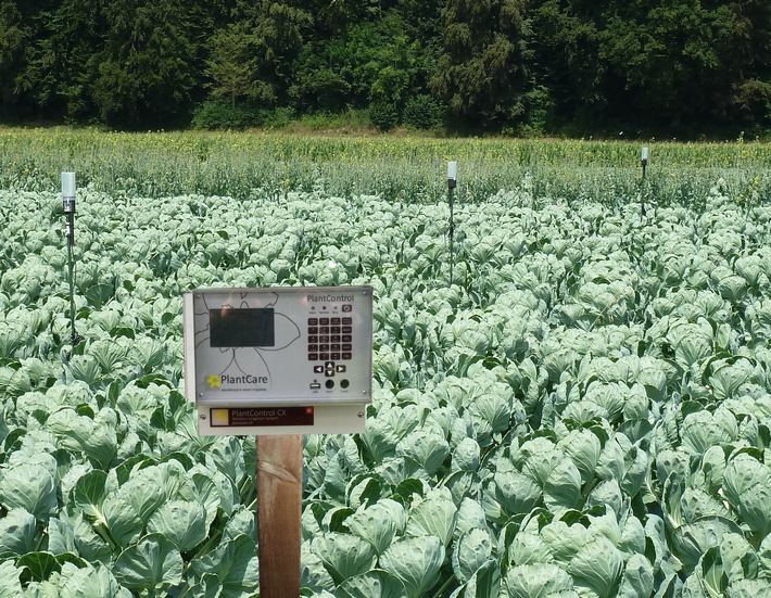 Breakthrough in agricultural irrigation: PlantCare&#039;s invention supports sustainable world food production (PICTURE)