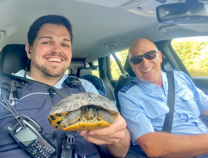 POL-OG: Schutterwald, A5 / Mahlberg - Gepanzert auf der Straße unterwegs: Zwei Schildkröten gerettet