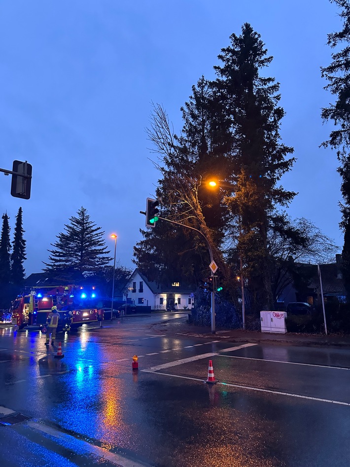 FW-DT: Baum auf Ampelmast