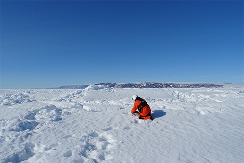 Hereon-PM - Schadstoffe in Polargebieten – Zeit zum Handeln