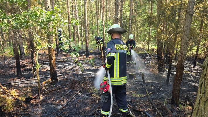 FW Celle: Hohes Einsatzaufkommen bei hohen Temperaturen - u.a. Waldbrand, Pkw-Brand und Heckenbrand!