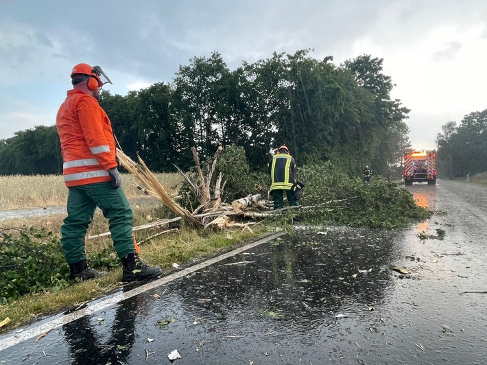 FW Celle: Baum auf Straße nach Blitzeinschlag!