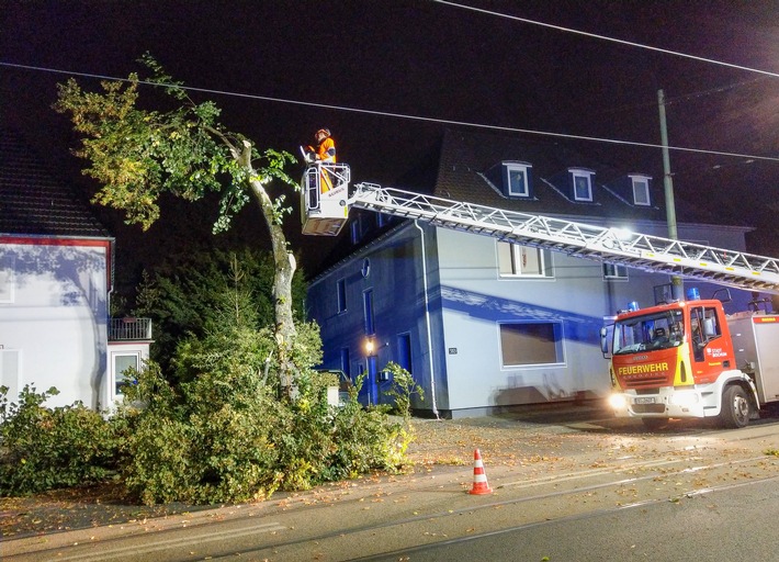 FW-BO: Feuerwehr muss gespaltenen Baum nach Verkehrsunfall fällen