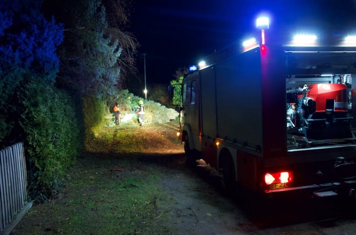 FW Flotwedel: Baum blockiert Straßenverkehr in Oppershausen