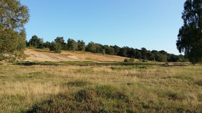 DBU: Mehr Magerrasen am Fliegerberg