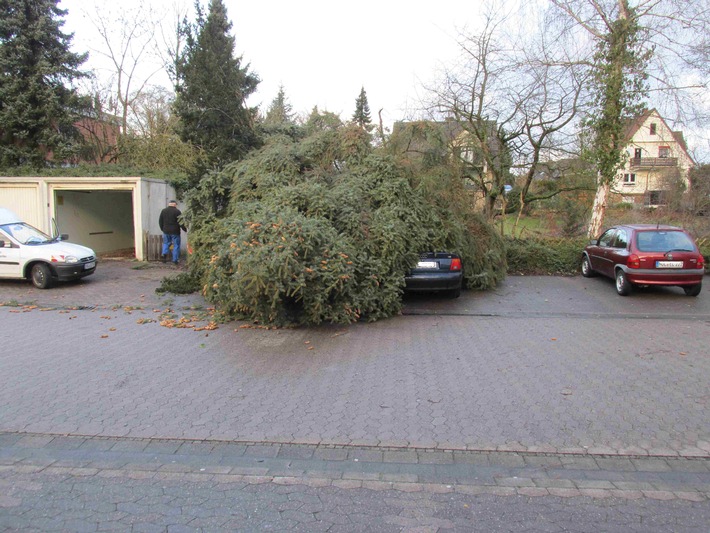 POL-HOL: Auswirkungen des Sturms der letzten Nacht: Baum auf PKW gestürzt - Raum Bodenwerder stark betroffen -