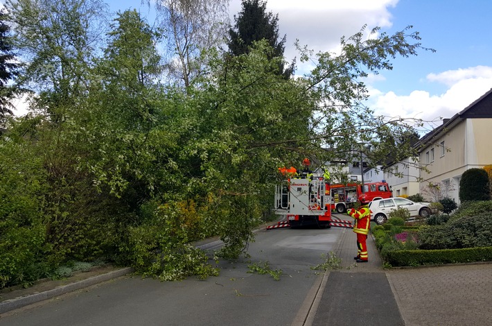 FW-Heiligenhaus: Umgestürzter Baum auf der Straße (Meldung 9/2016)