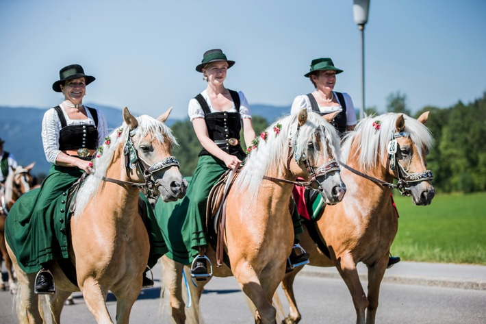 TTT_Rosstag_2019_Hansi Heckmair-3.jpg