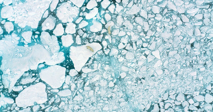 Lebensraum der Inuit in akuter Gefahr: National Geographic zeigt neue Dokumentation &quot;The Last Ice - Rettung für die Arktis&quot; am 27. November