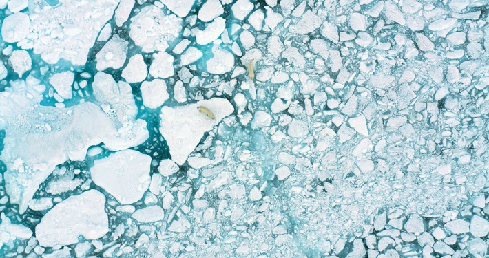 Lebensraum der Inuit in akuter Gefahr: National Geographic zeigt neue Dokumentation "The Last Ice - Rettung für die Arktis" am 27. November