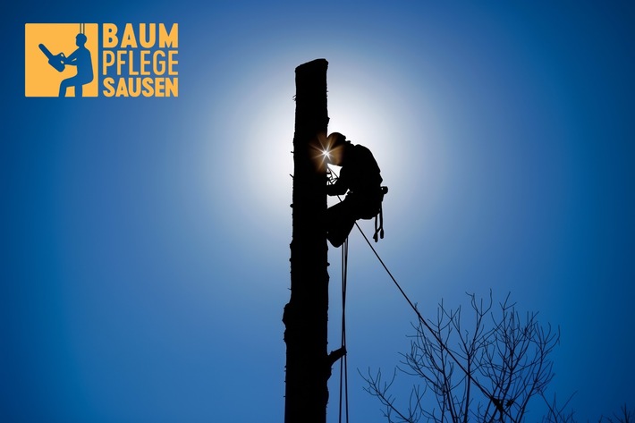 Baumpflege Sausen: Höchste Vorsicht bei stark eingreifenden Maßnahmen an Bäumen