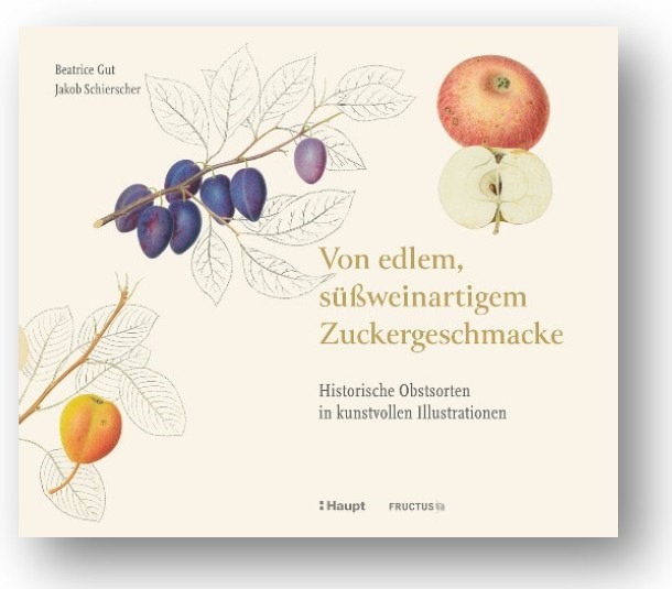 Von edlem, süßweinartigem Zuckergeschmacke