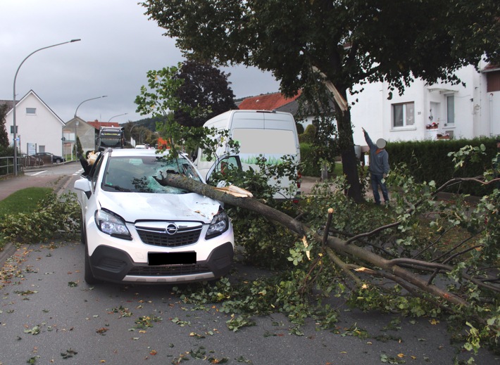 POL-MI: Baumstamm durchstößt Windschutzscheibe