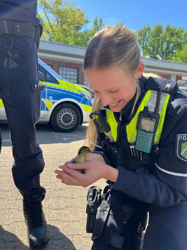 POL-DO: Ente gut, alles gut - Tierischer Einsatz auf der A 40 bei Bochum