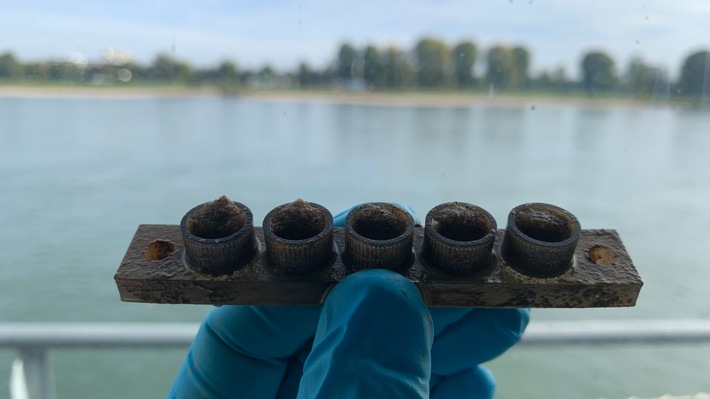 Reifenabrieb im Rhein: Wie Mikroplastik die Flussökologie verändert