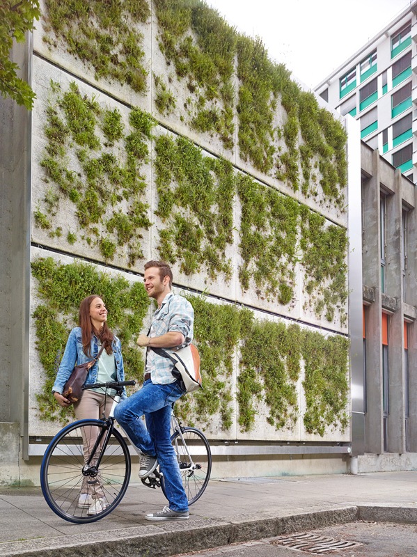 Des façades vertes pour un climat urbain sain
