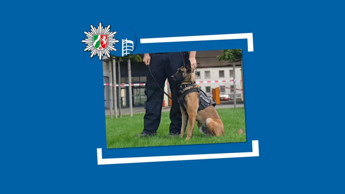 POL-OB: Mutmaßlicher Dieb schläft im Diebesgut - Diensthund "Figo" erfolgreich im Einsatz