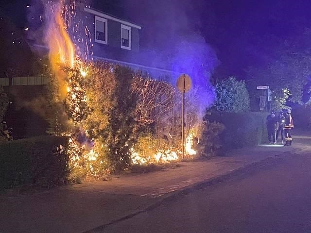 POL-WHV: Brand einer Hecke