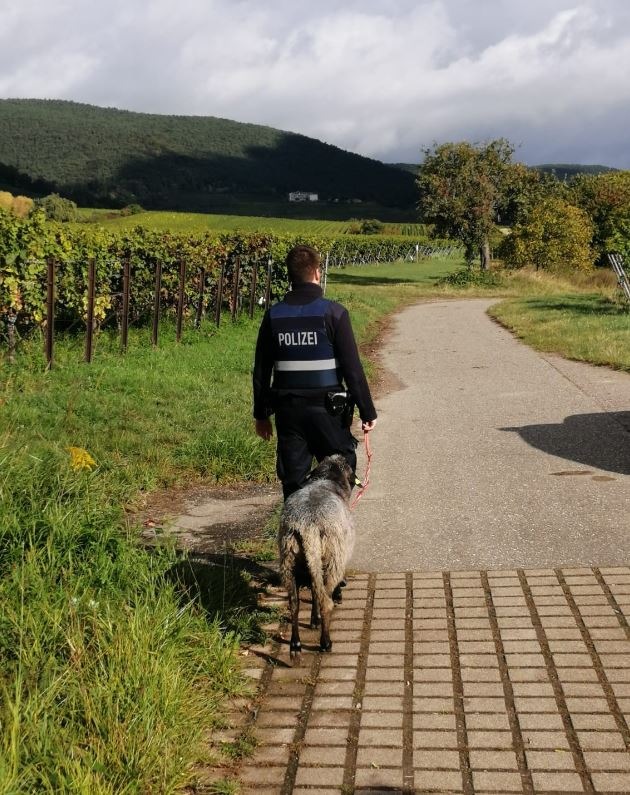 POL-PDLD: Edenkoben - Polizeilicher Begleitschutz