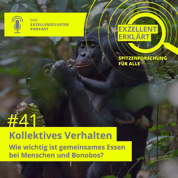 Gemeinsames Essen bei Menschen und Bonobos, PI Nr. 23/2024