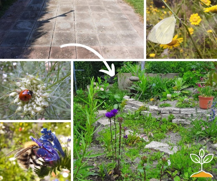 Bodenluft: Steine raus. Natur rein. – Der Entsiegelungs-Wettbewerb der Provinzial startet in die nächste Runde