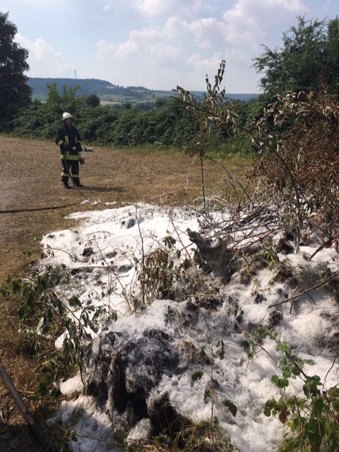 FW Lügde: Feuer 1 / erneuter Heckenbrand