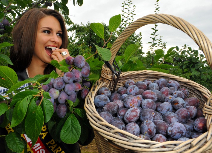 Miss Germany liebt es süß und saftig - Auftakt der Zwetschgen- und Pflaumen-Saison 2009