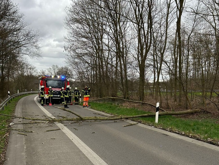 FW Sonsbeck: Umgestürzter Baum in der Zufahrt zur A57