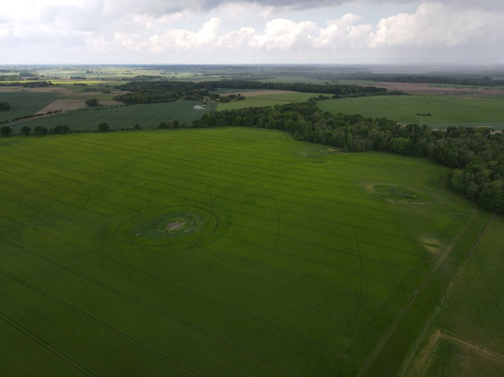 Saxovent erweitert PV-Portfolio um 81,8 MWp-Projekt bei Rostock