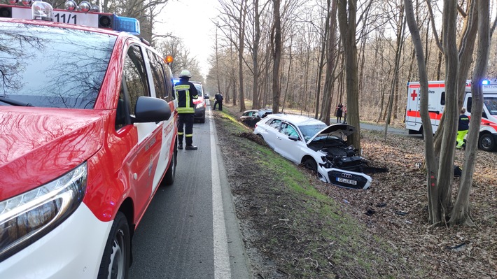 FW Celle: Verkehrsunfall auf der L282