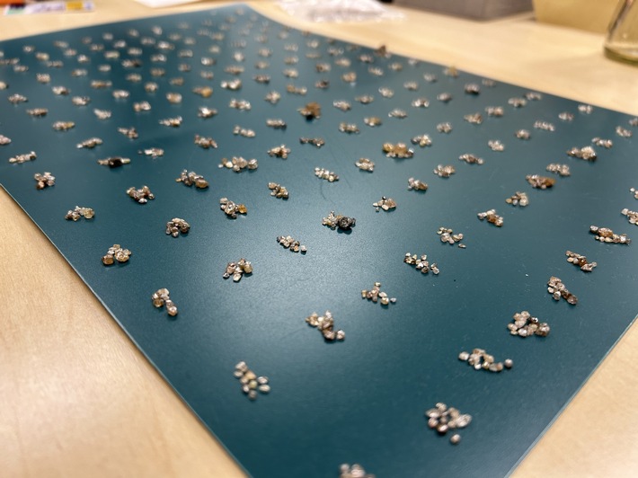 ZOLL-F: Edelsteine sichergestellt - Tatverdächtiger in Untersuchungshaft Frankfurter Zoll verfolgt Diamanten-Schmuggel