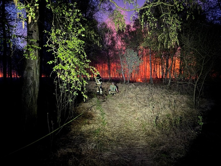 FW-SE: Einsatzkräfte bei größerem Wald- und Moorbrand gefordert