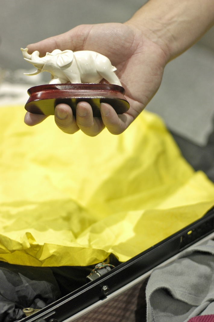HZA-MS: Zoll warnt: Tierische und pflanzliche Souvenirs können den Artenschutz und die Artenvielfalt gefährden / Vorsicht bei Mitbringseln aus dem Ausland