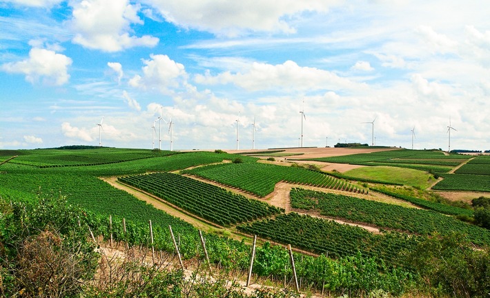 Immer mehr Kommunen in Rheinland-Pfalz interessieren sich für Flächenpooling