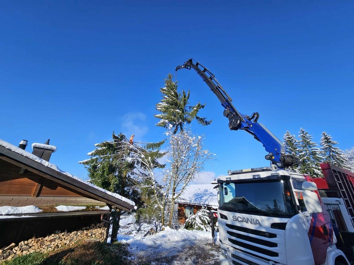 SPEZ AG: Professionelle Baumfällung und nachhaltige Baumpflege in Zürich, St. Gallen und am Zürichsee