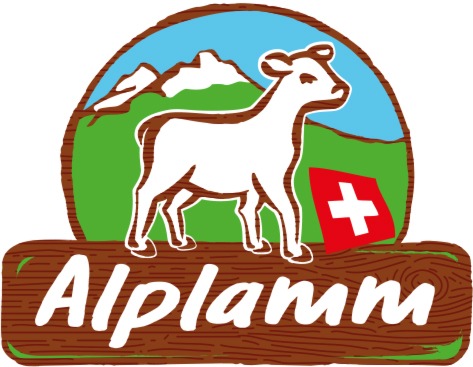 Agnello d