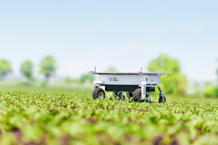 Designit kooperiert mit Dahlia Robotics im Bereich Smart Farming