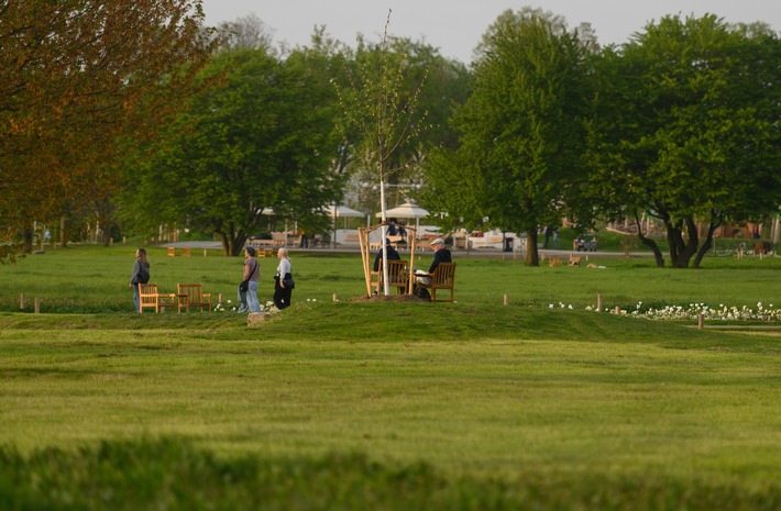 Warum werden Wiesen im Sommer braun?
