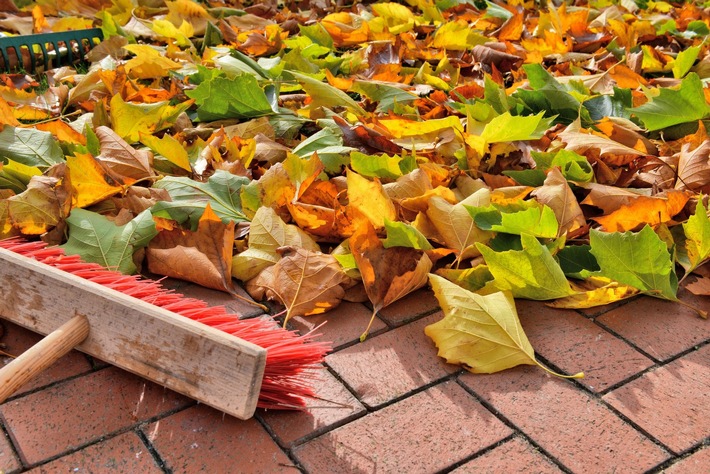 Herbstlaub: Wann Fegen Pflicht ist