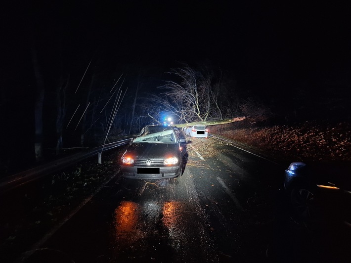 POL-HM: Totalschaden: Zwei Pkw durch herabstürzenden Baum zerstört - 3 Personen im Krankenhaus