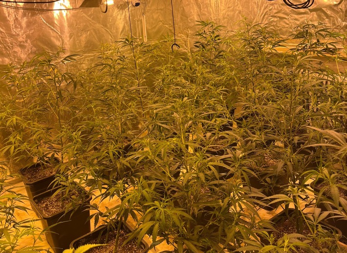 POL-REK: 260116-2: Polizisten stellten mehrere Kilogramm Marihuana sicher
