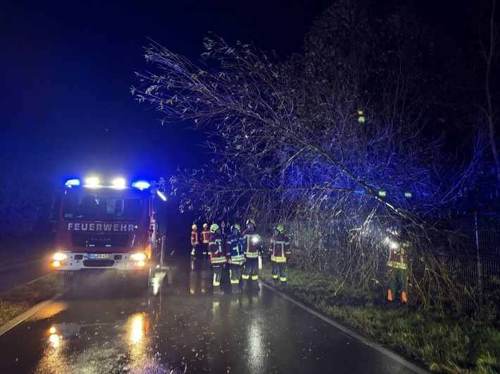 FW Reichenau: Baum über Fahrbahn, Rau-Lindenbühl, 26.11.2025