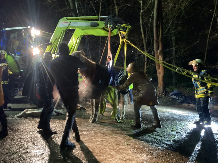 FW-BO: Gestürztes Pferd in Höntrop: Feuerwehr Bochum leistet Unterstützung