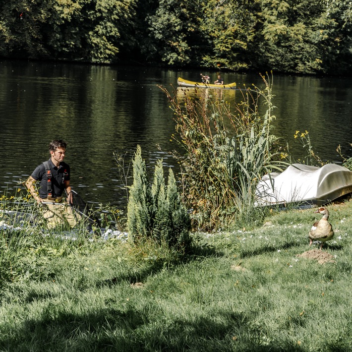 FW-EN: Ungewöhnliches Bild am Beyenburger Stausee: Feuerwehr versucht eine Ente mit Stand Up Paddle zu retten.